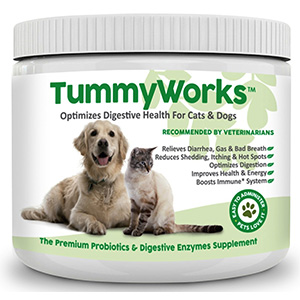 3. TummyWorks Probiotic for Dogs & Cats